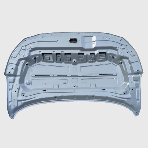 Nissan Sylphy 2019 Hood - Inner Panel View
